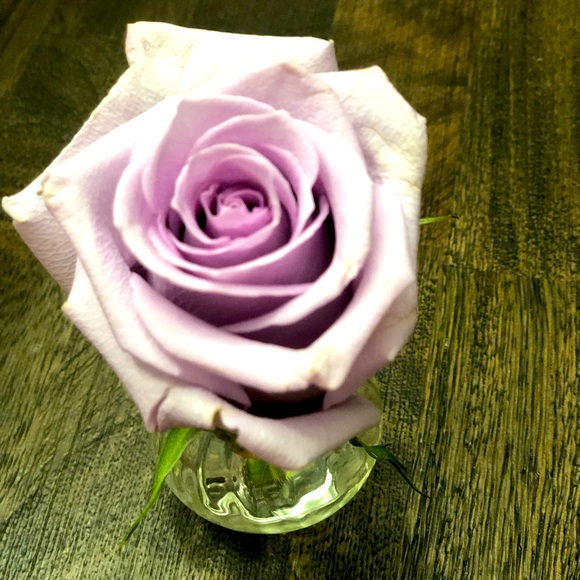 Meet your Posher, Jacquie - Picture 1 of 1